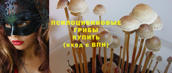Альфа ПВП Пестово