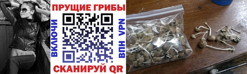 купить ссылка на мегу как войти Псилоцибиновые грибы мухоморы Аркадак