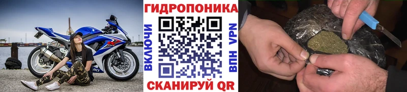 дарнет шоп Аркадак Конопля AK-47
